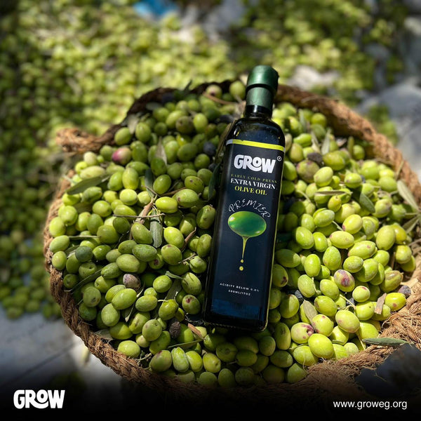 Early Harvest Premier Extra Virgin Olive Oil