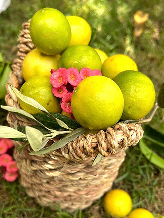 Organic Lemon