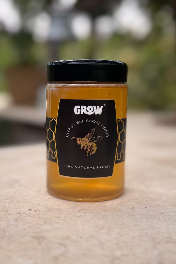Citrus Blossom Honey 400g
